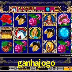 A Experiência Imersiva dos Cassinos Ao Vivo no ganhajogo